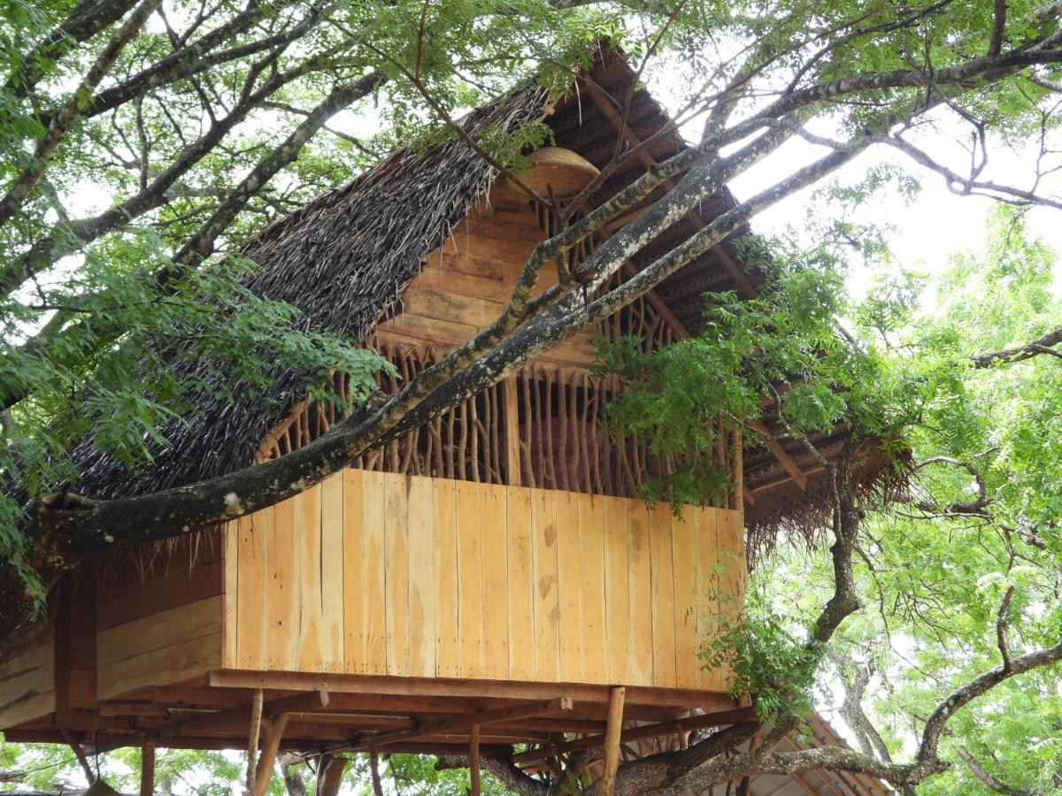 Yala Village Eco Tree House Tissamaharama Zewnętrze zdjęcie