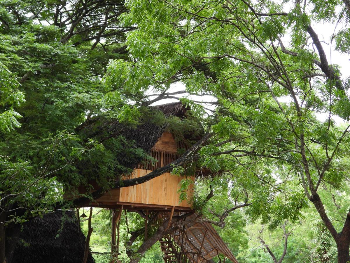 Yala Village Eco Tree House Tissamaharama Zewnętrze zdjęcie