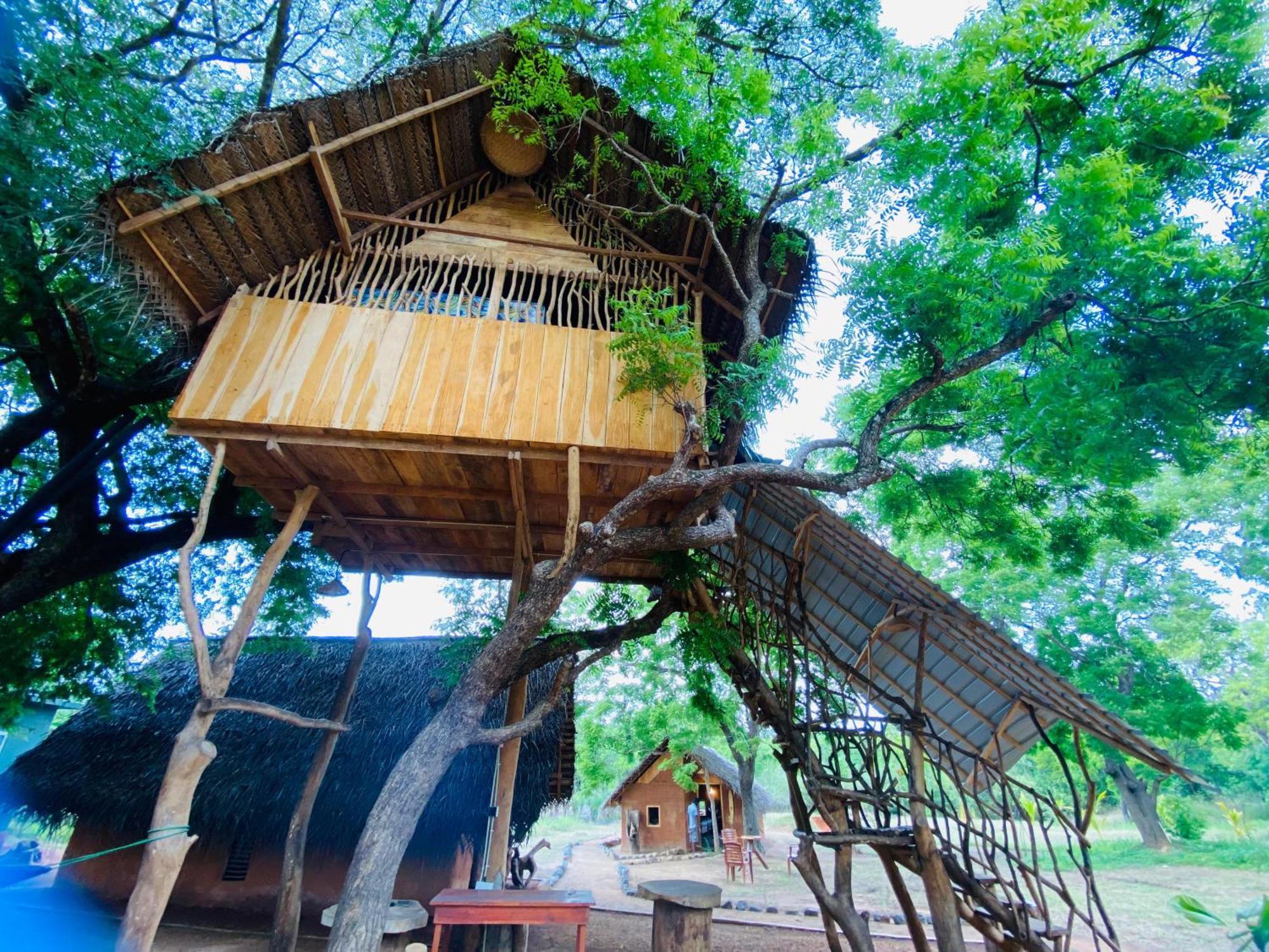 Yala Village Eco Tree House Tissamaharama Zewnętrze zdjęcie