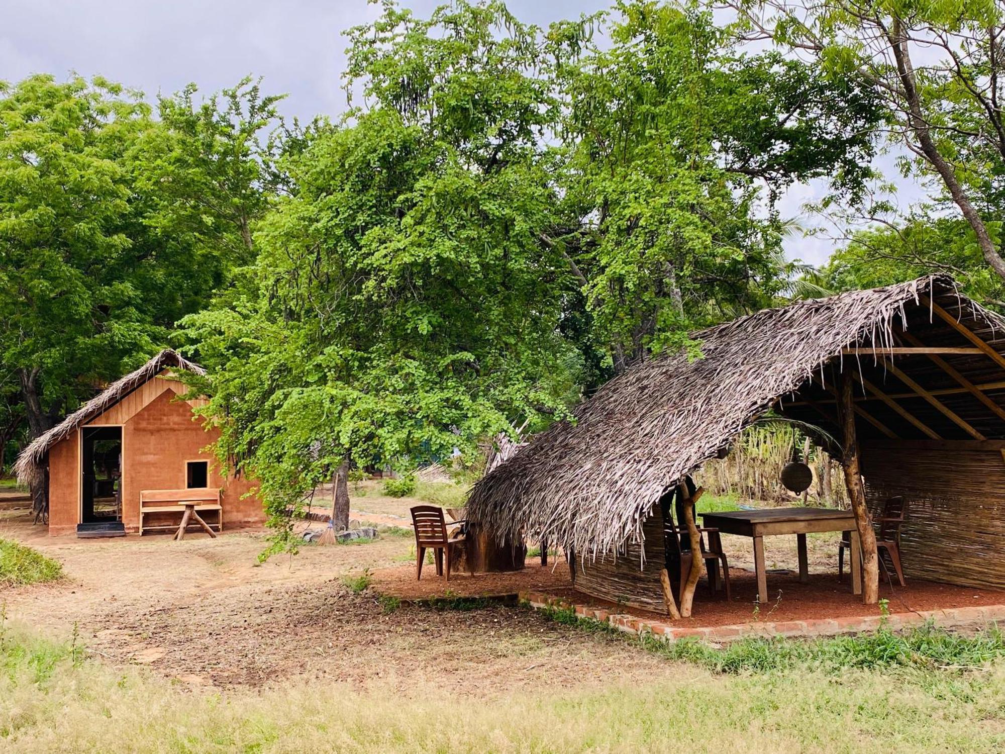 Yala Village Eco Tree House Tissamaharama Zewnętrze zdjęcie