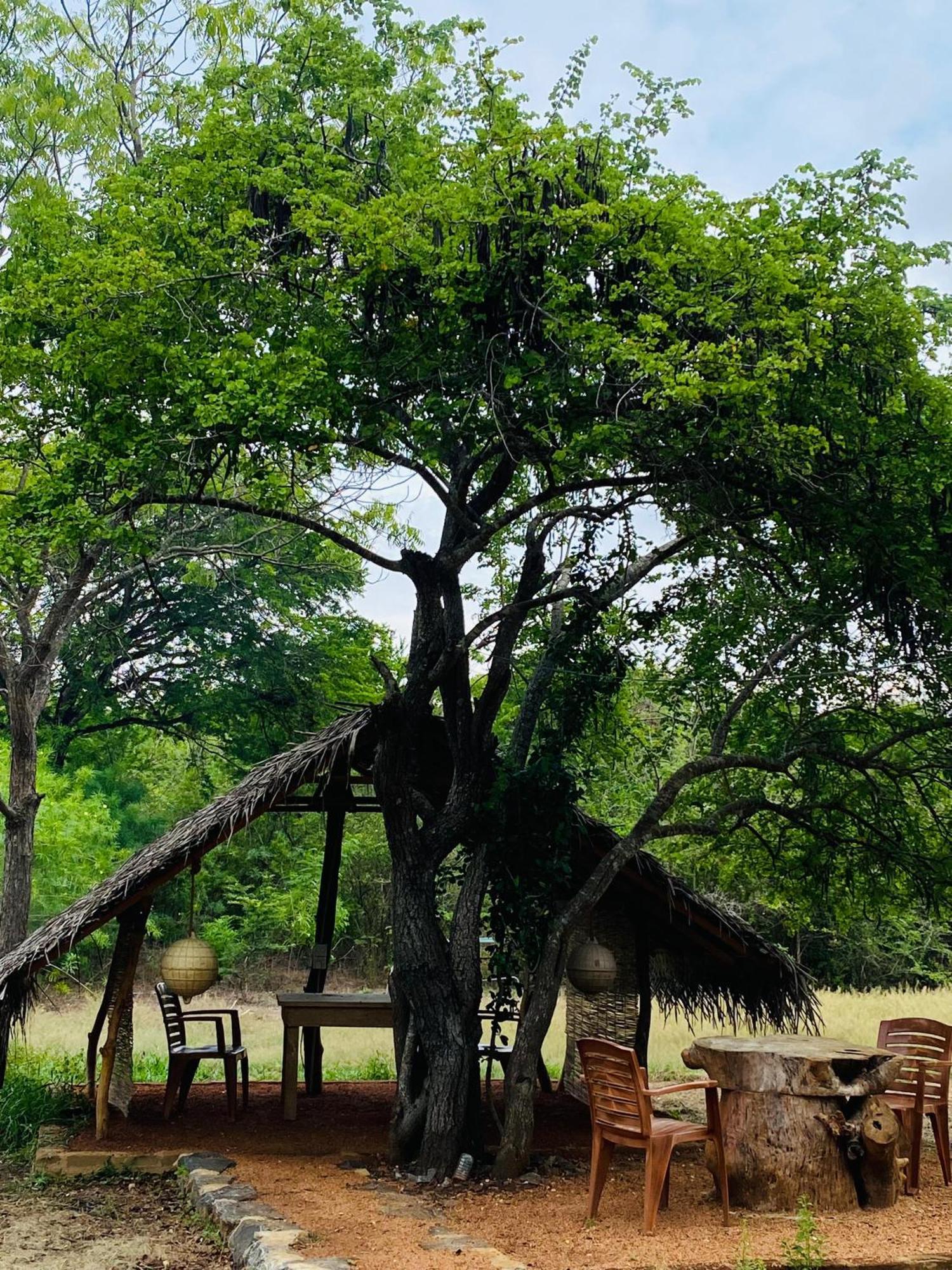 Yala Village Eco Tree House Tissamaharama Zewnętrze zdjęcie