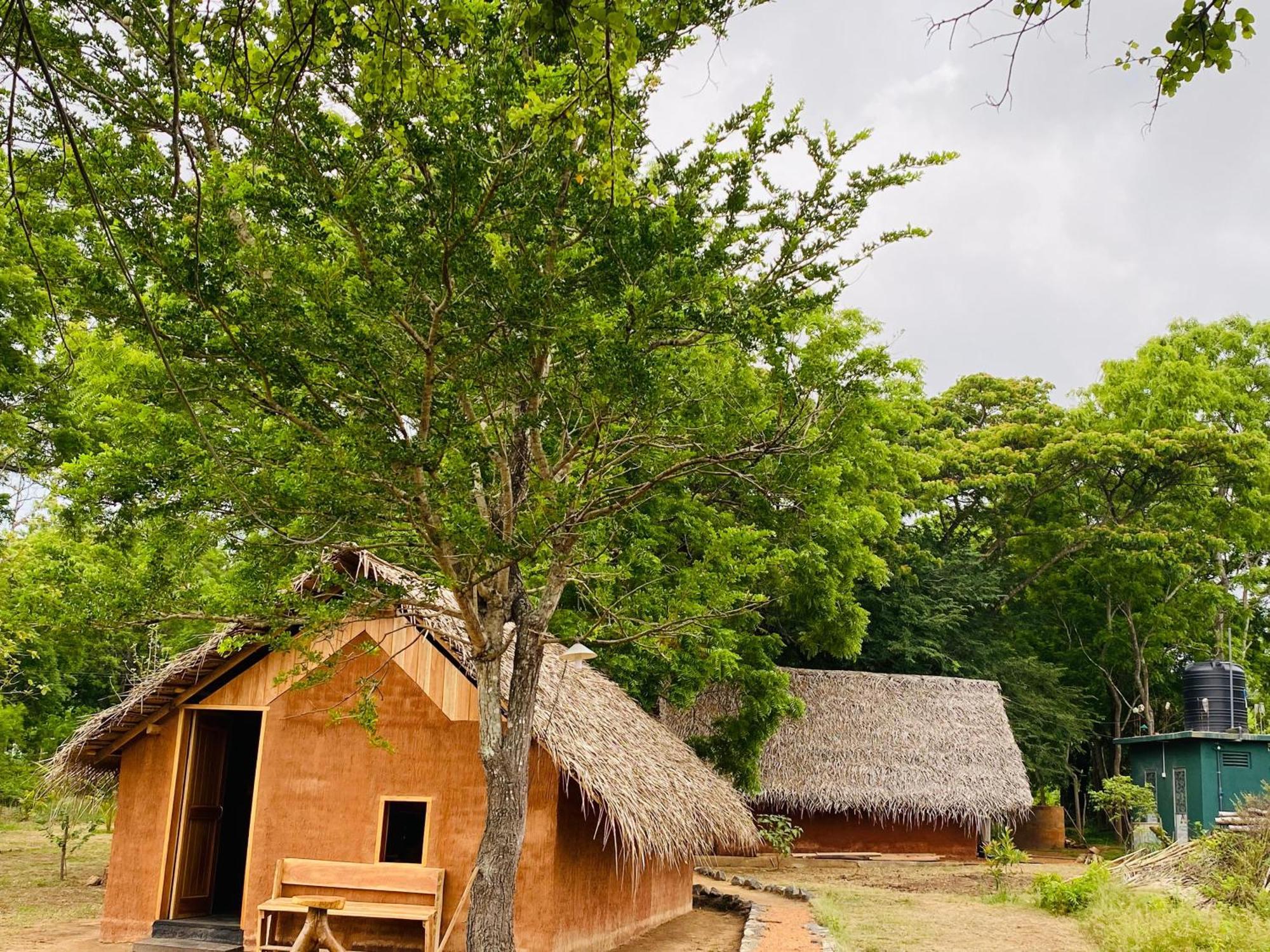 Yala Village Eco Tree House Tissamaharama Zewnętrze zdjęcie